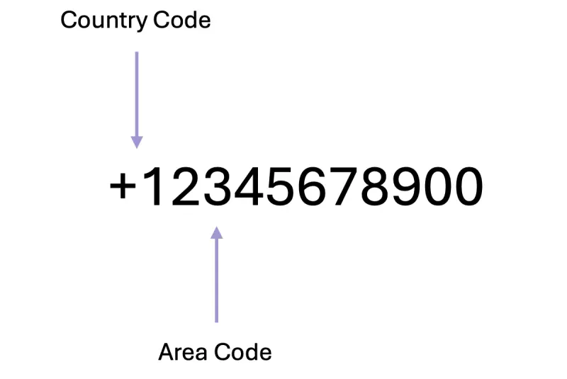 A diagram showing different parts of an E.164 number